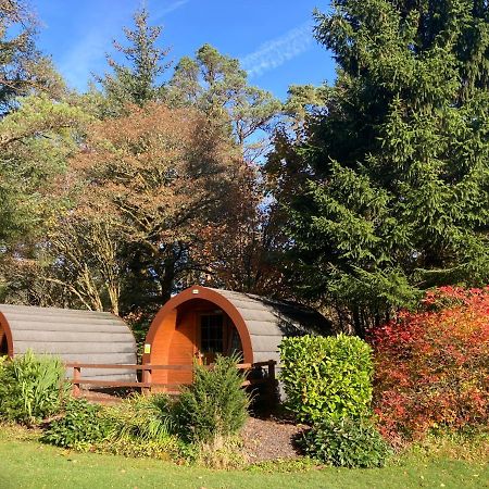 Glamping Hut - By The Way Campsite Tyndrum Zewnętrze zdjęcie