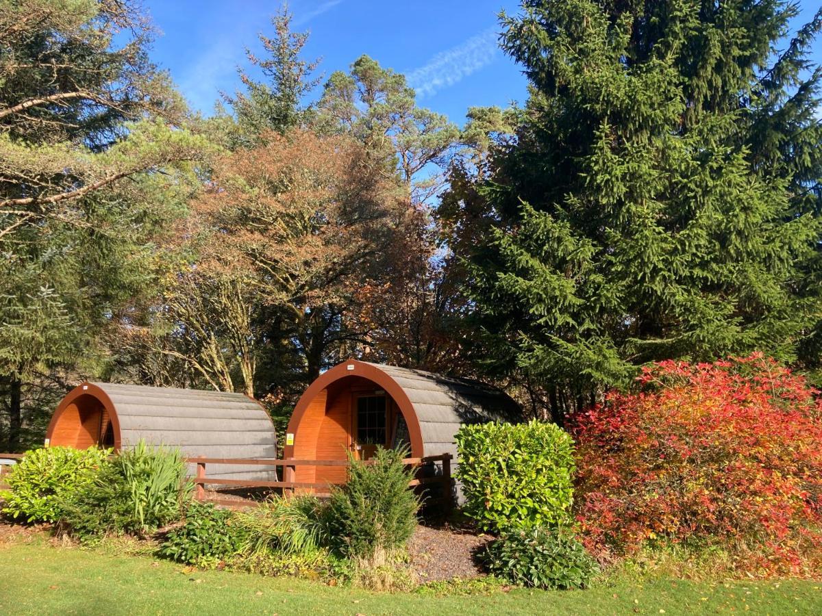 Glamping Hut - By The Way Campsite Tyndrum Zewnętrze zdjęcie